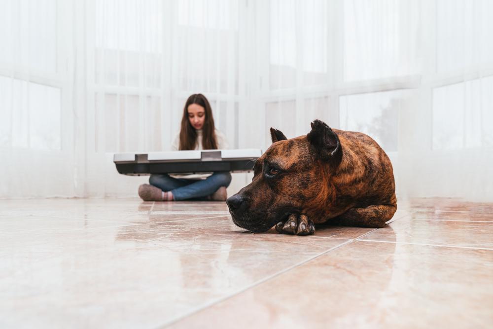 Уход за алано