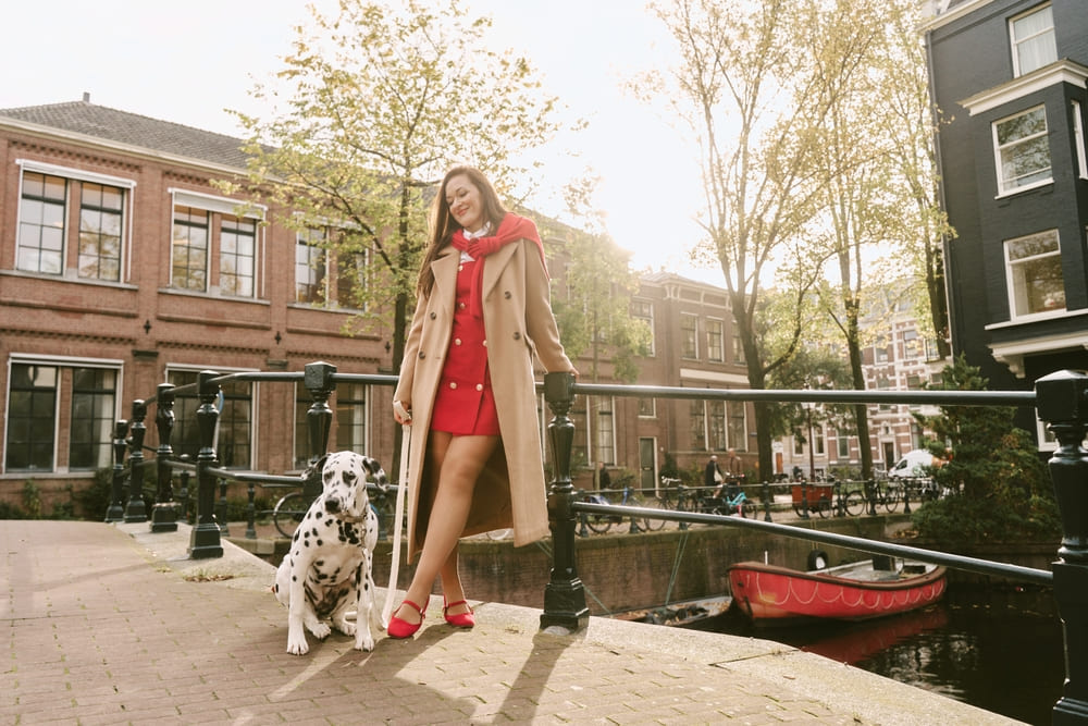 То, сколько прожил далматинец, можно сравнить с человеческим возрастом