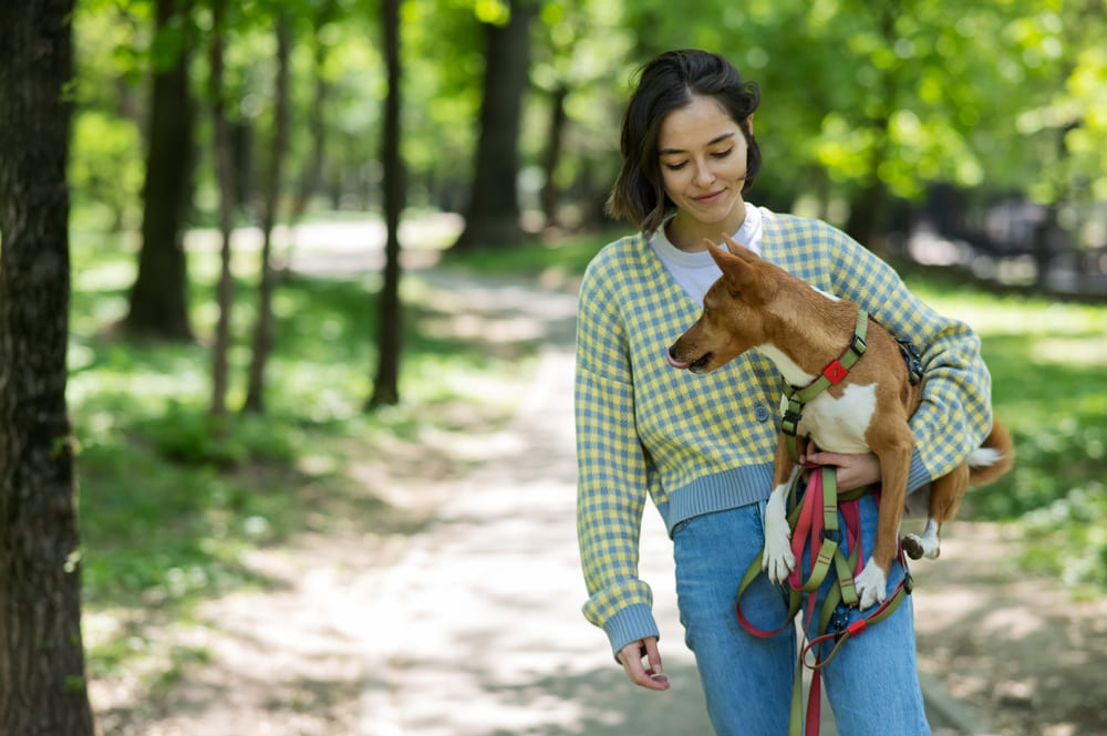 Басенджи склонны к дисплазии