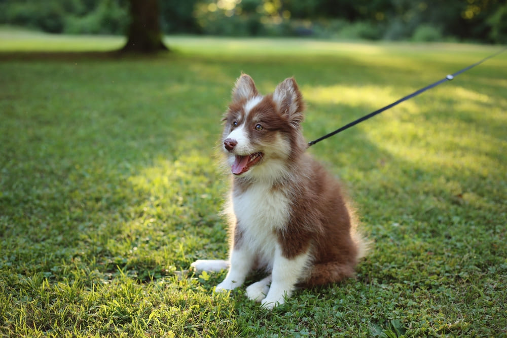 Пол не влияет на то, сколько проживет помски