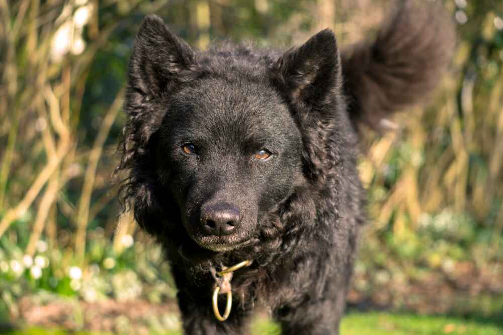 Муди нуждаются в гигиене