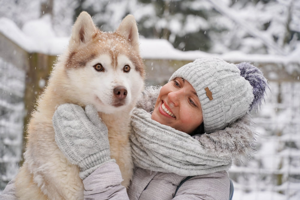Питание влияет на то, сколько может прожить хаски