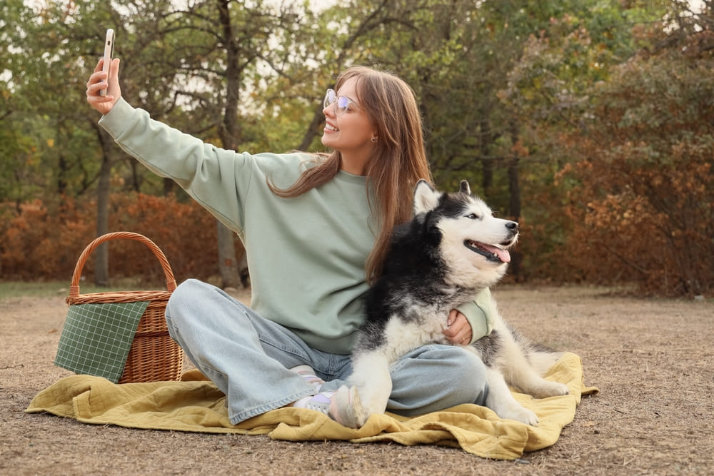 Течка у хаски проходит поэтапно