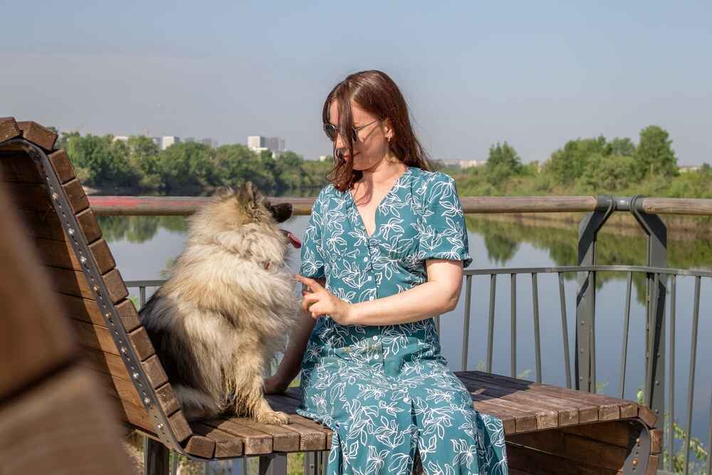 Так выглядит кеесхонд