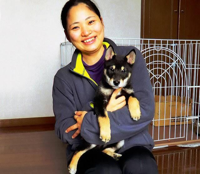 Уход и содержание дземон-сиба