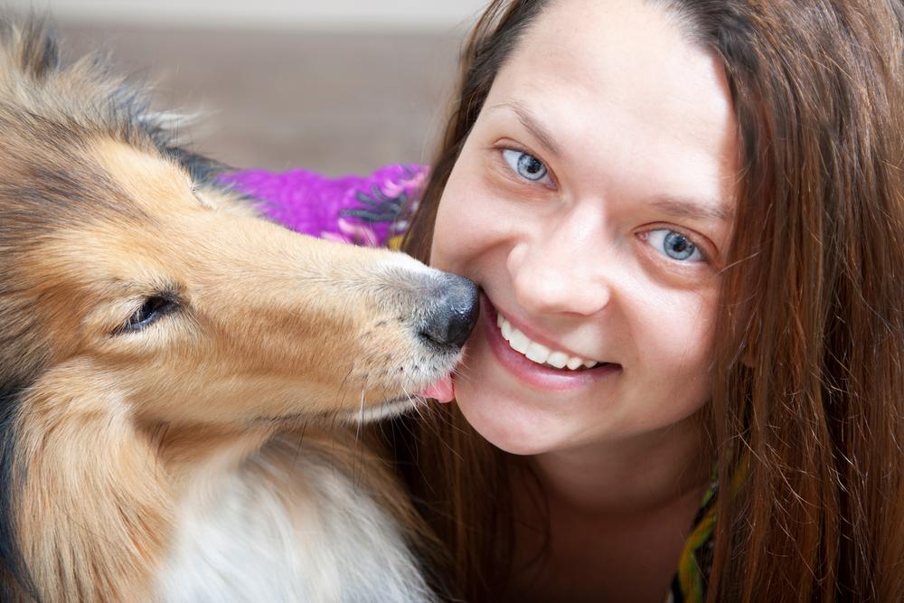 В каких областях медицины применяют лечение собаками В каких областях медицины применяют лечение собаками