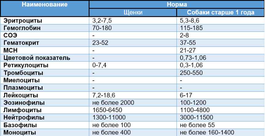 Нормы показателей крови у собак при клиническом анализе