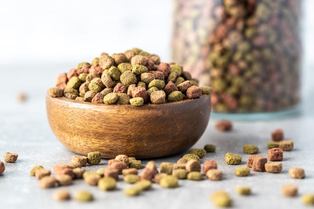 Особенности корма супер-премиум-класса для собак