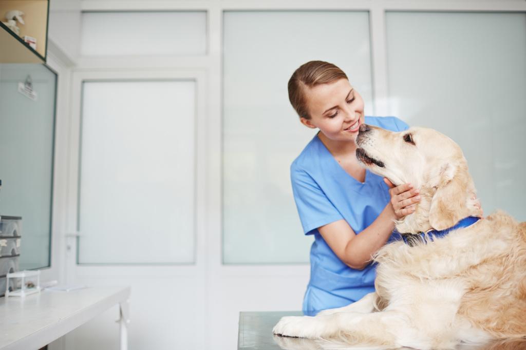 Диагностика астмы у собак