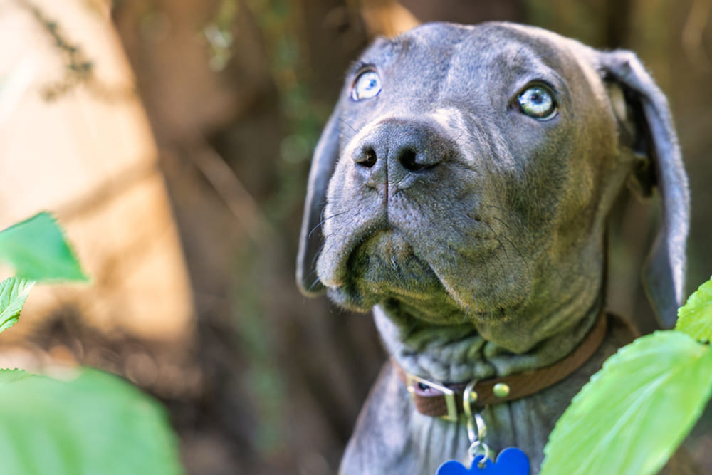 Бурбуль будет требовать определенных затрат