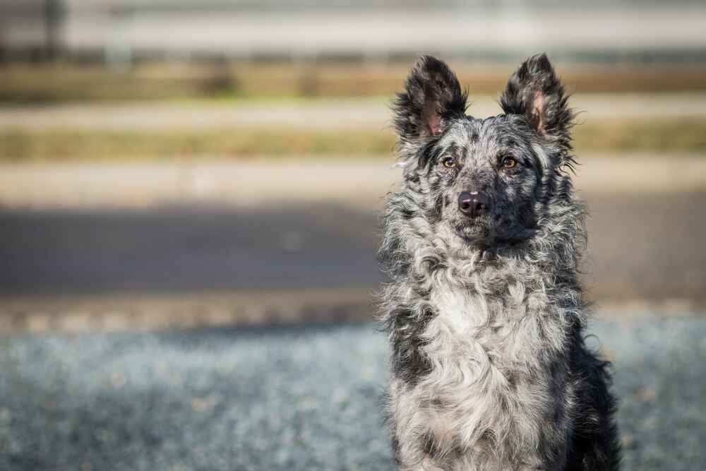Муди ориентированы на человека