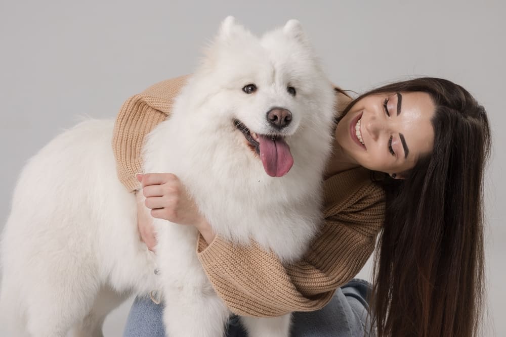 Самоеды хорошо обучаются