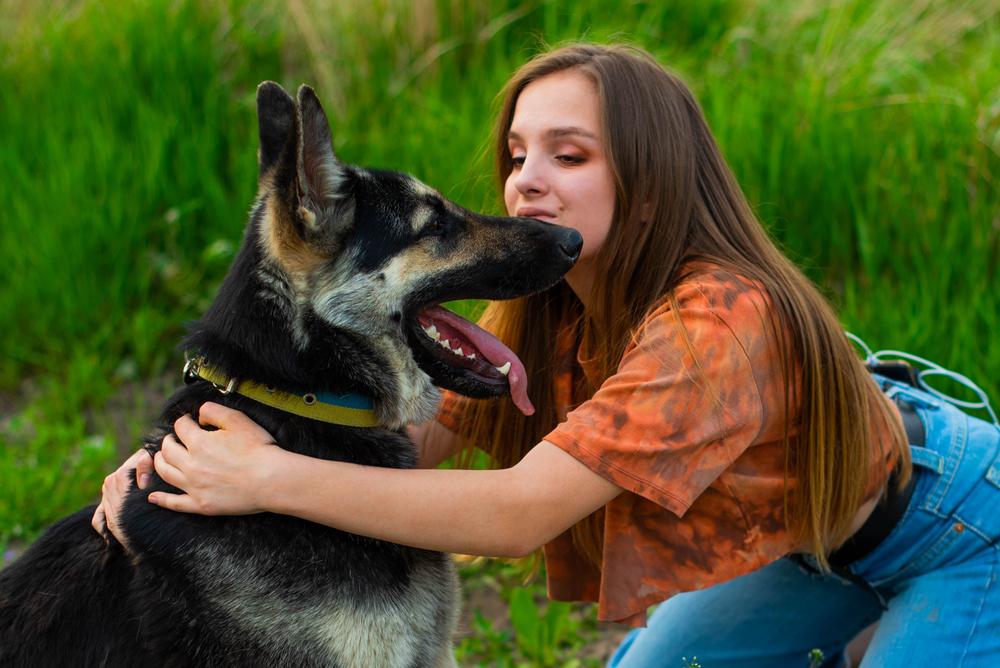 самые преданные породы собак: восточноевропейская овчарка.jpg самые преданные породы собак: восточноевропейская овчарка.jpg
