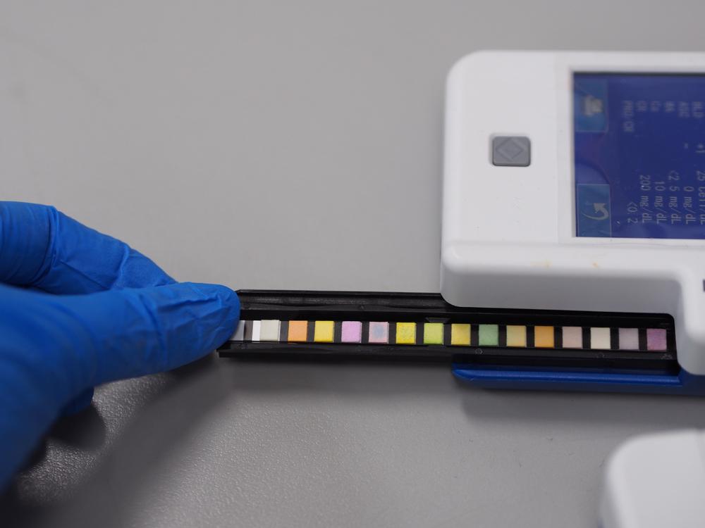 О чем может говорить повышенное содержание белка в моче у собаки О чем может говорить повышенное содержание белка в моче у собаки