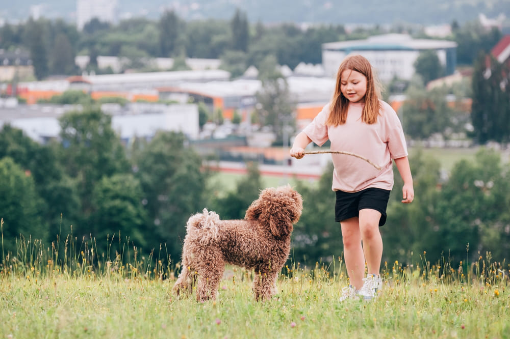 Рацион влияет на то, сколько весит мальтипу