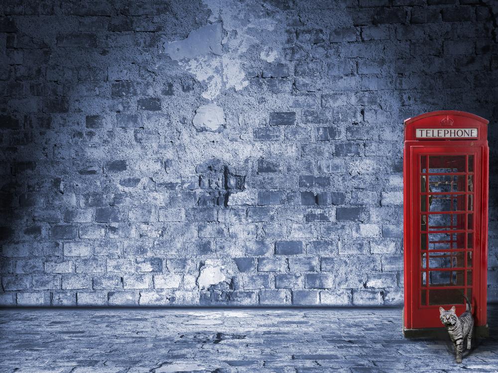 Красивые английские имена для кошек Красивые английские имена для кошек