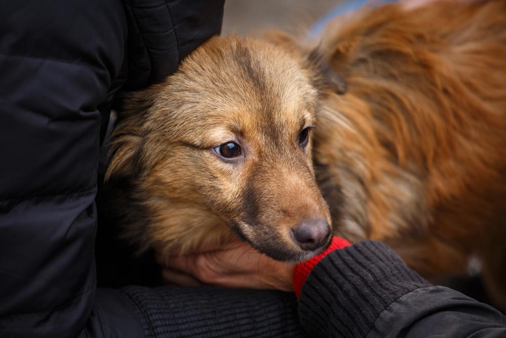 Разновидности по месту расположения