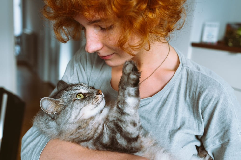 Кошке можно йогурт, если она на домашнем рационе