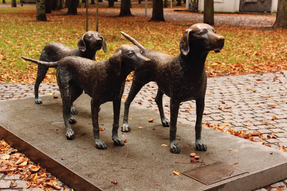 Ключевые факты о литовской гончей