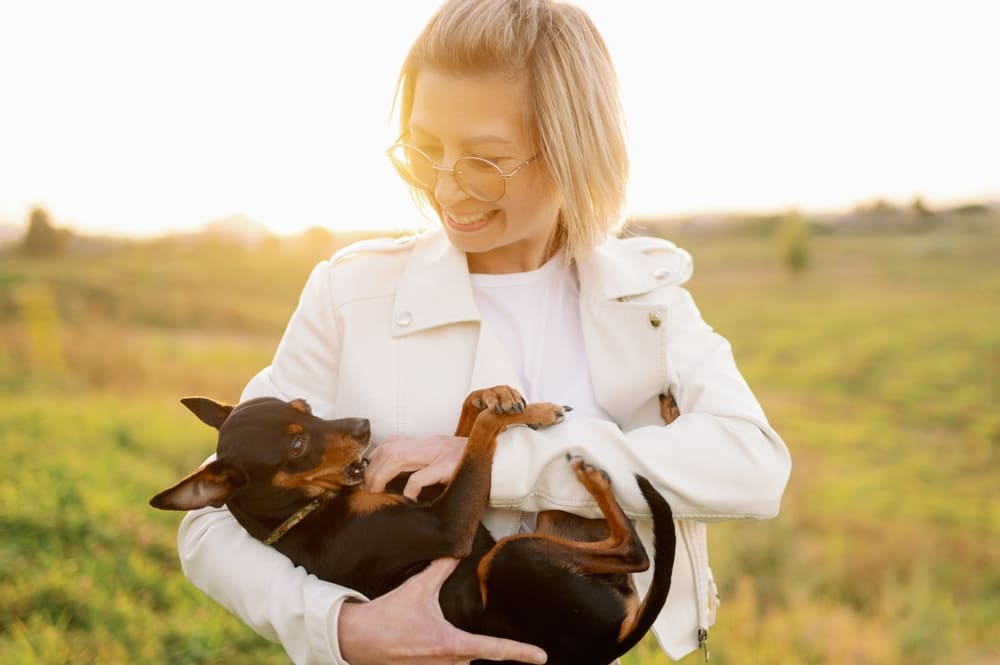 Какой характер у той-терьера?