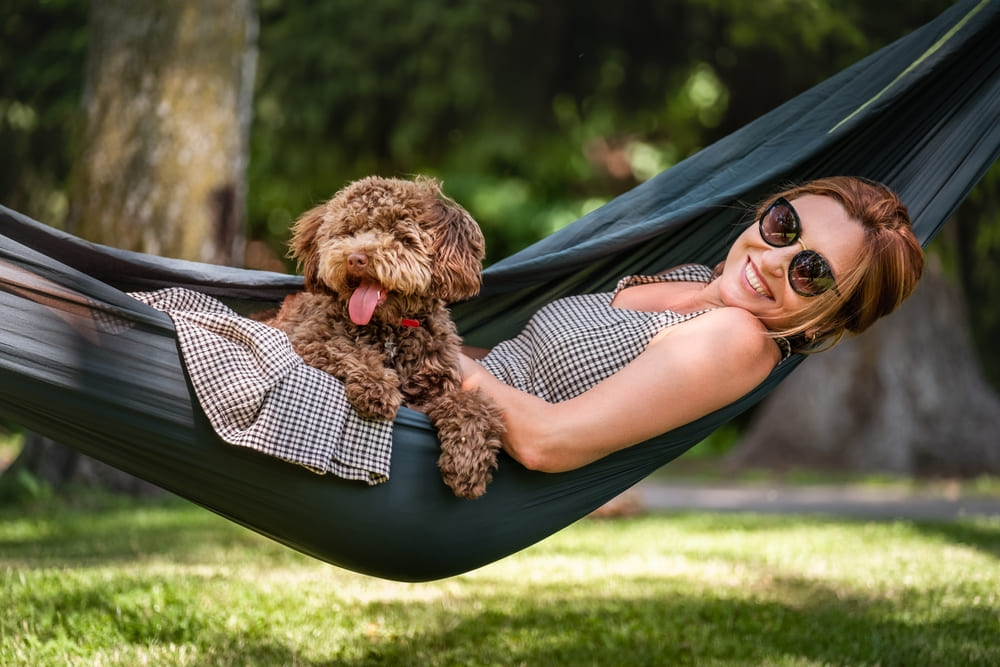 Первая течка у мальтипу свидетельствует о половом созревании