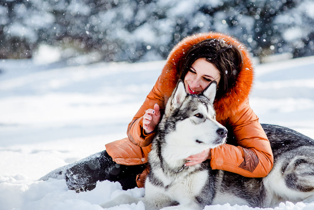 Активность влияет на то, сколько лет проживет хаски