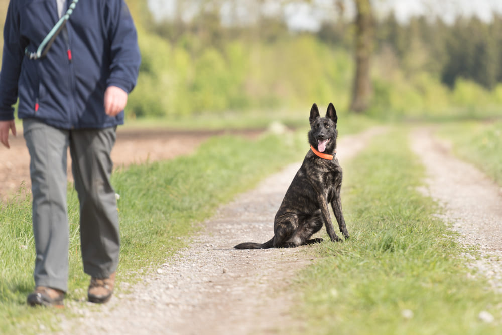 Хердеры имеют склонность к самостоятельности