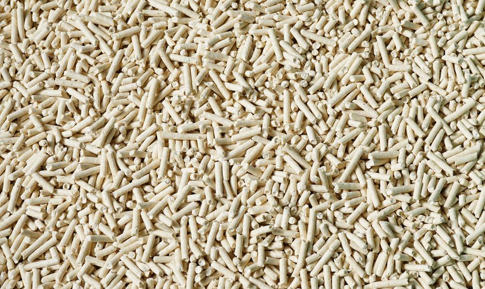 Нюансы приучения кошки к лотку с наполнителем Нюансы приучения кошки к лотку с наполнителем