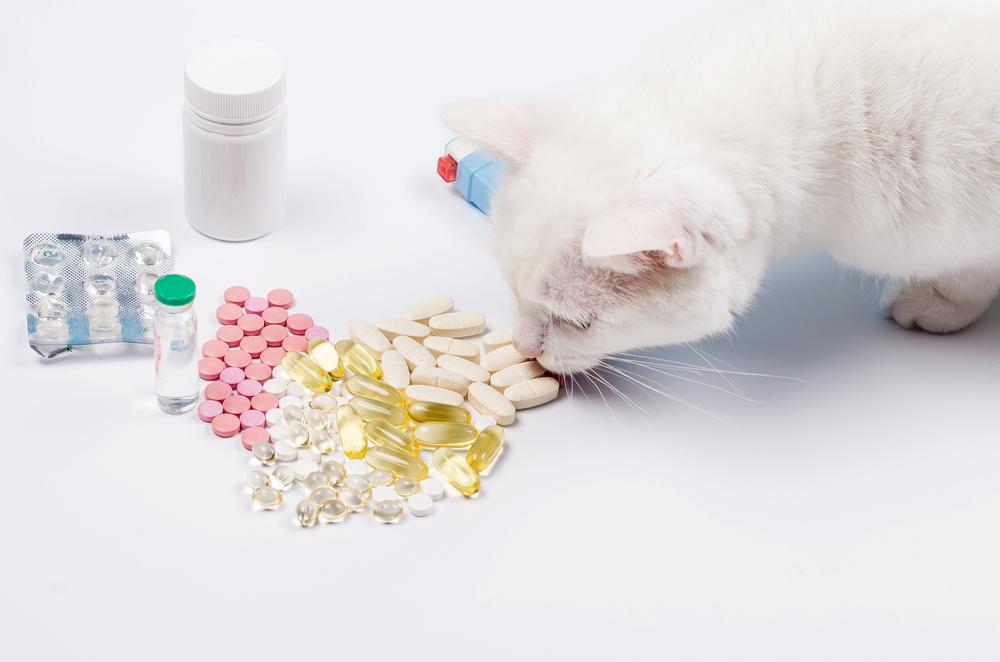 Разновидности седативных препаратов для кошек
