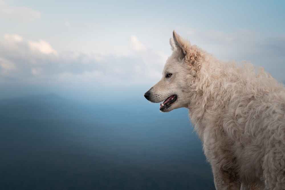 Муди необходимы обработки