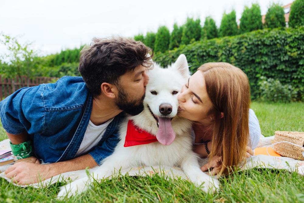 Как определить, кого собака выбрала хозяином