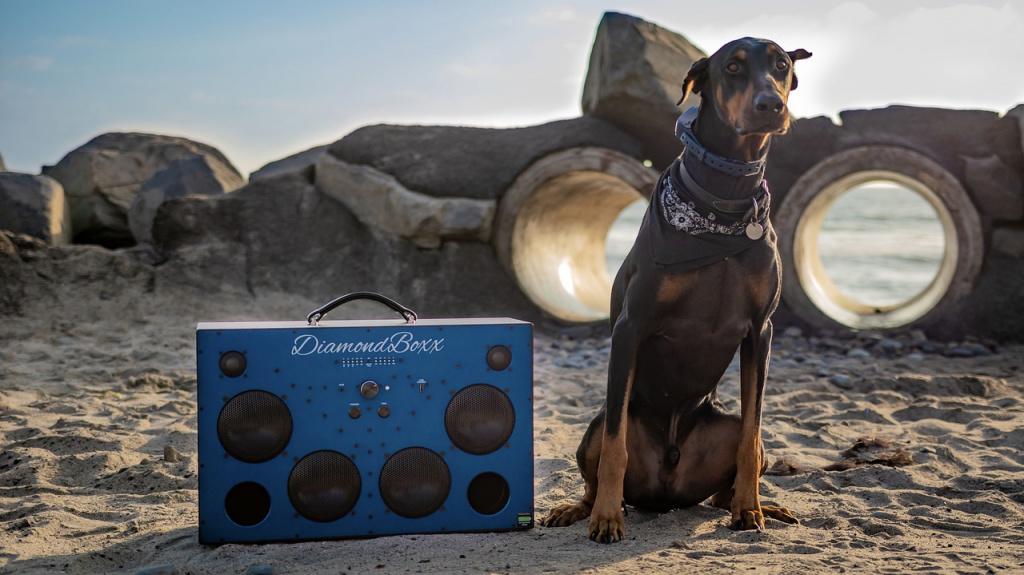 Какое мексиканское имя можно дать доберману 