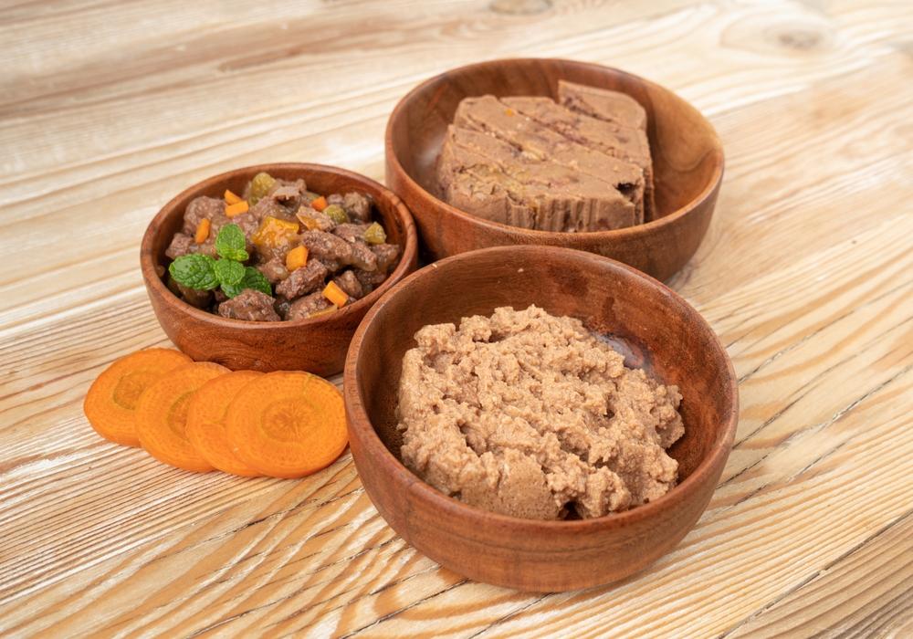 Какой рацион лучше для кошки: промышленный или домашний