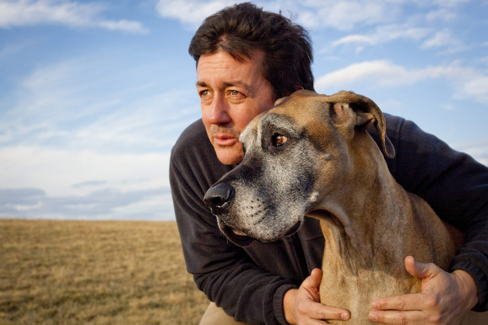 Уход влияет на то, сколько живет немецкий дог