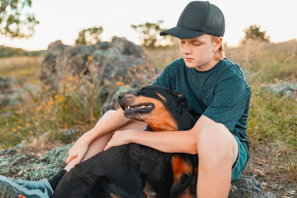 Владельцу важно знать, когда начинается течка у ротвейлера