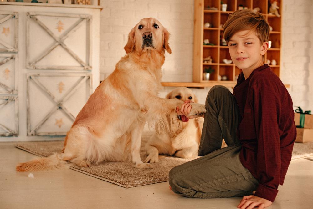 Канистерапия собаками Канистерапия собаками