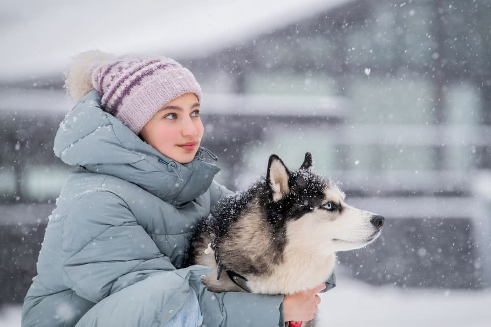 Болезни влияют на то, сколько проживет хаски