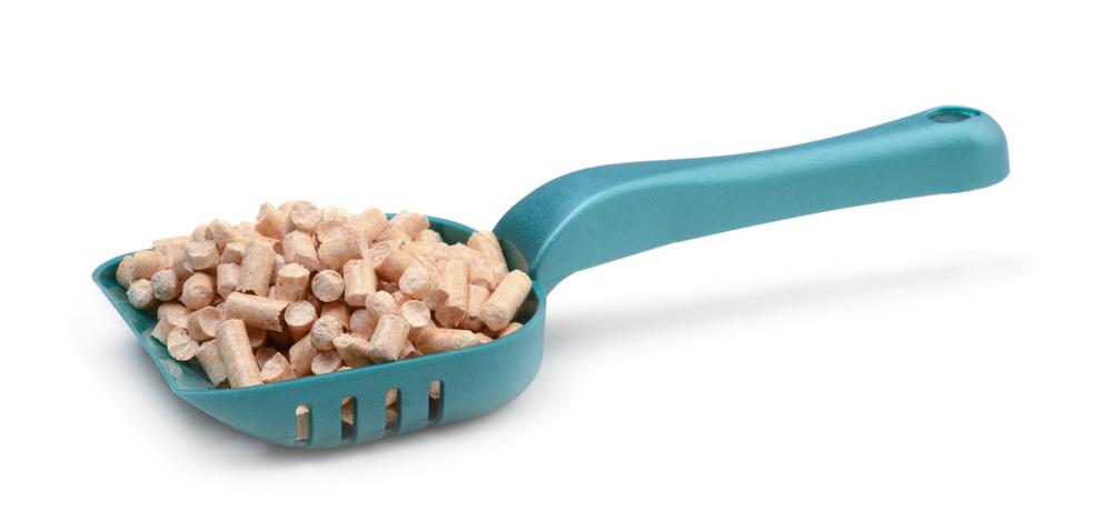 Плюсы и минусы древесного наполнителя туалета для кошек