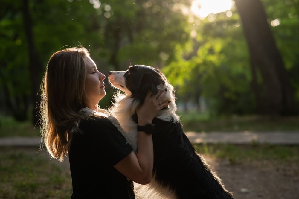 Важно знать, сколько живут бордер-колли в норме