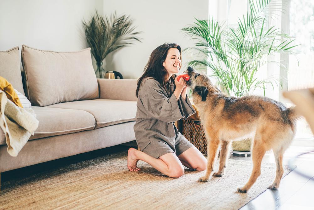 Почему стоит отучать собаку от постоянного нахождения рядом