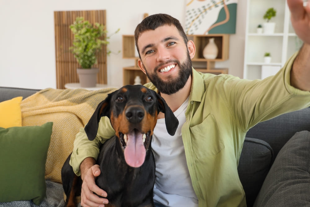 Болезни влияют на то, сколько может прожить доберман
