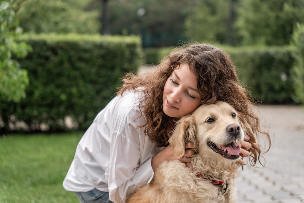 Спорт влияет на продолжительность жизни золотистого ретривера