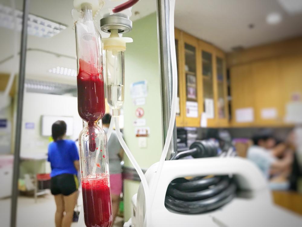 Переливание крови собакам