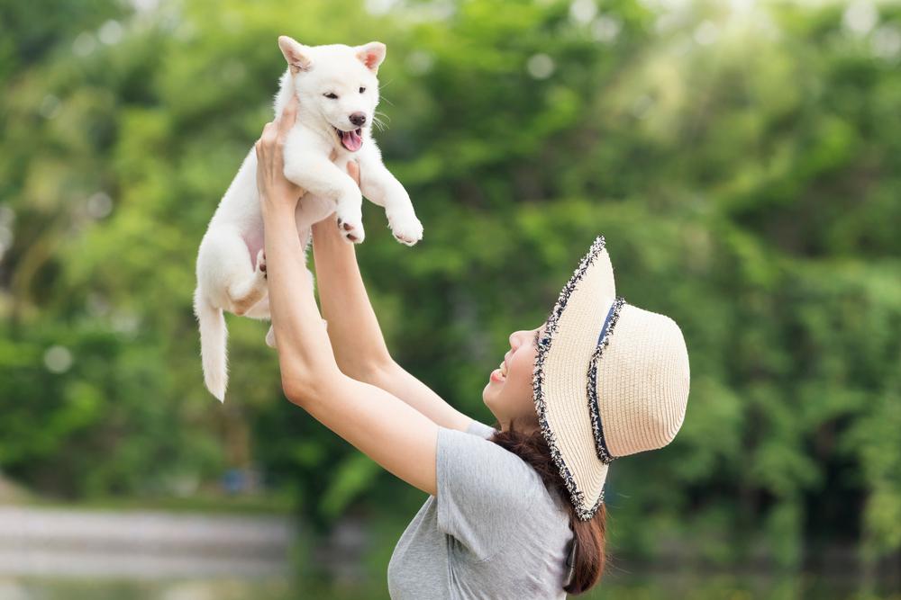 Немецкие клички для собак