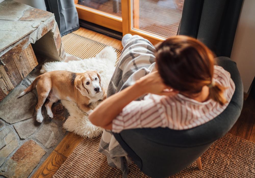 «Приятные» причины хождения собаки за владельцем