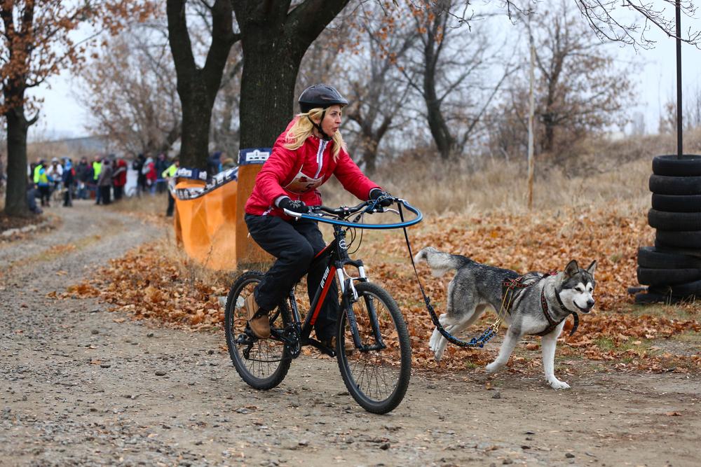 История появления байкджоринга История появления байкджоринга