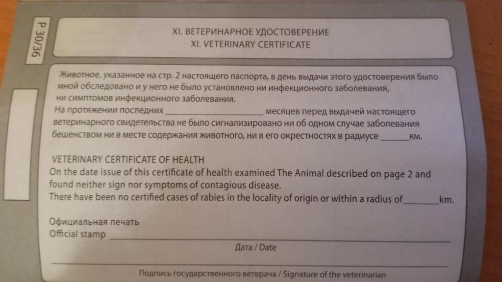 ветеринарный паспорт в документах на кошку
