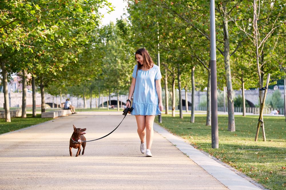 Можно гулять с собакой в парке