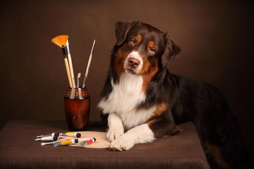 Каким трюкам можно научить собаку: художник