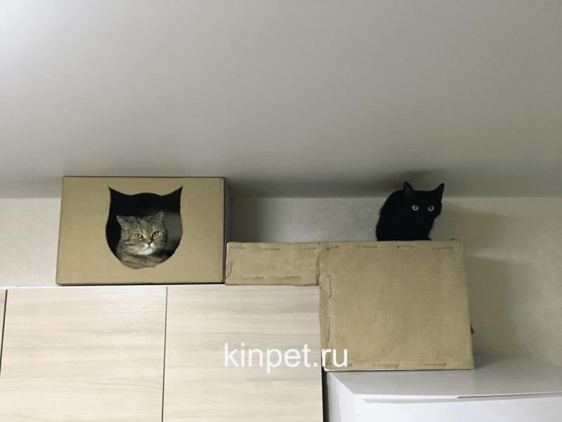 Готовый домик для кошек Готовый домик для кошек